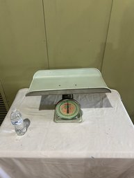 Hanson Baby Scale