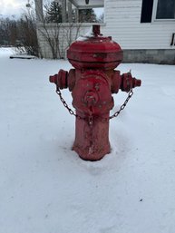 Lot 298- Fire Hydrant