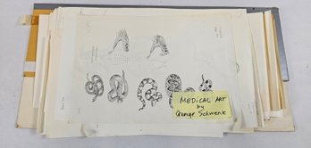Collection Of Medical Drawings By George Schwenk