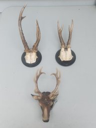 Decorative Horns And Deer Trailer Hitchcover