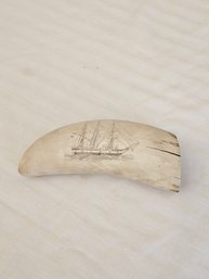 Sperm Whales Tooth With Scrimshaw