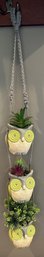 Wallhanging 3 Owl Ceramic Faux Plant Holders