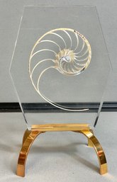 Awesome Opalized Chambered Nautilus In Lucite