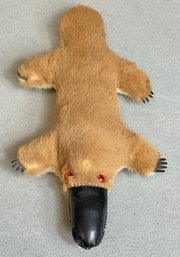 Vintage Stuffed Platypus