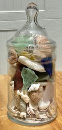 Apothecary Jar Full Seashells/ Sea Glass