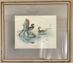 Signed & Numbered - Ron Jenkins Wood Duck Lithograph