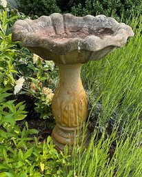 Cement Bird Bath