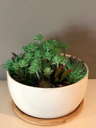Faux Cactus Plant