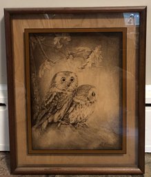 Wildlife Owl Photograph On Glass - Dennis Curry
