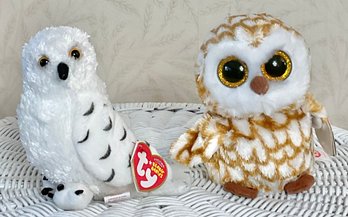 2 Owl Beanie Babies