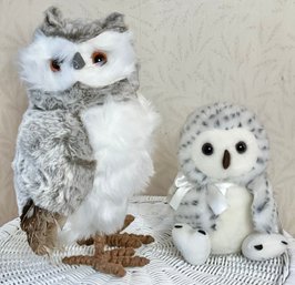 2 Owls