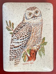 Snowy Owl Covered Ceramic Box