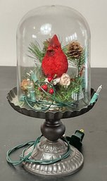 Decorative Cardinal Under Glass Dome W/ Lights