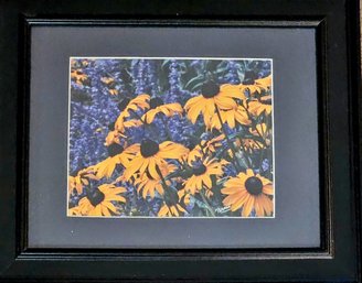 A Beautiful Black Eyed Susan Print Signed Perman In Black Wooden Frame