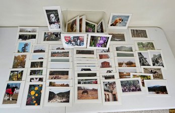 Assorted Framed Photo Art By LC Perman Heron Art