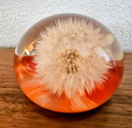 Make A Wish With This Hand-made Dandelion Paperweight Encased In Resin