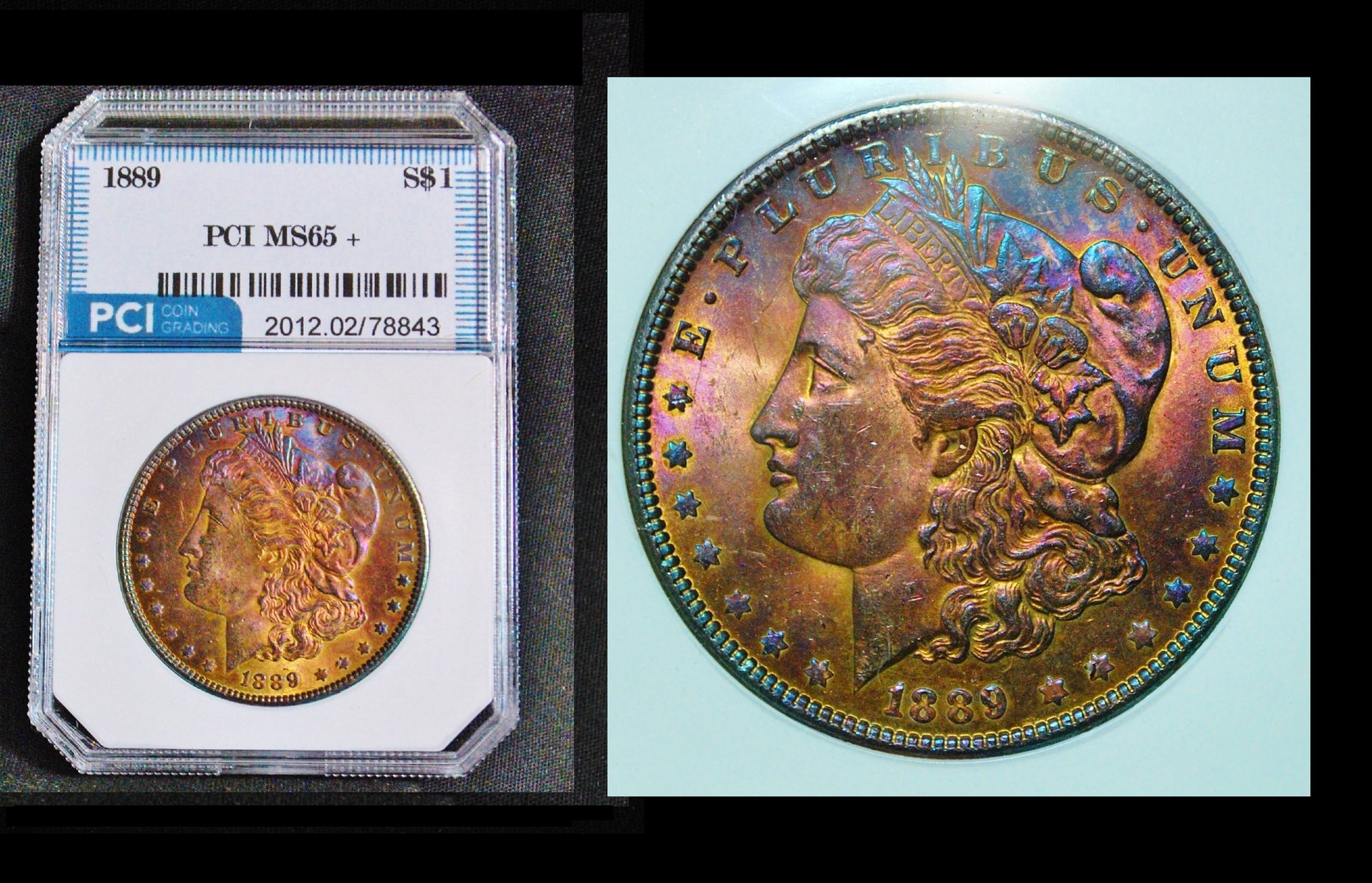 1889 Morgan Silver Dollar PCI MS65 PLUS RAINBOW TONED Superb Coin! (2ccd4)  #8187 | Auctionninja.com
