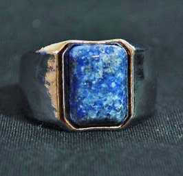 Unisex  Natural Lapis Lazuli Ring Stainless Steel Setting  Size 11  NEW  Healing Wisdom Stone