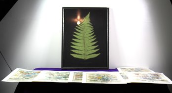 7 Months Flower Prints, Leaf Print In Frame