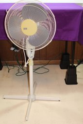 Pedestal Fan
