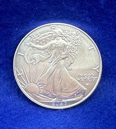 2026 Silver Eagle Dollar