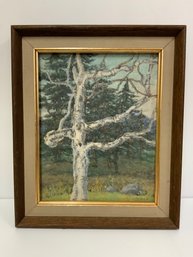 Bernice Webster (1895-1985) Old Birch Acrylic On Board