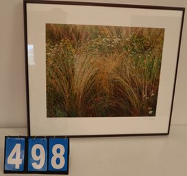31.5' X 27.5' - Framed Signed Art Work  Unknown Artist - Roadside Meadow #1