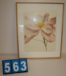 25' X 31' - Framed Art Work - Unknown Artist - Flower