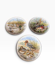 Set Of Three Game Birds Of The South Plates