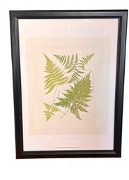 Large Framed Fern Botanical Print