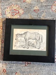 Antique Horse Bookplate Engraving