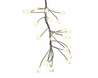 Holiday Bright Lights Big Seed Cluster Micro Lights 6'