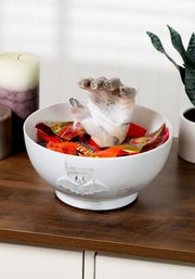 Animated Mummy Hand Candy Bowl