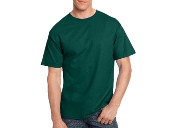 Hanes Authentic Men's T-shirt Deep Forest Size Small