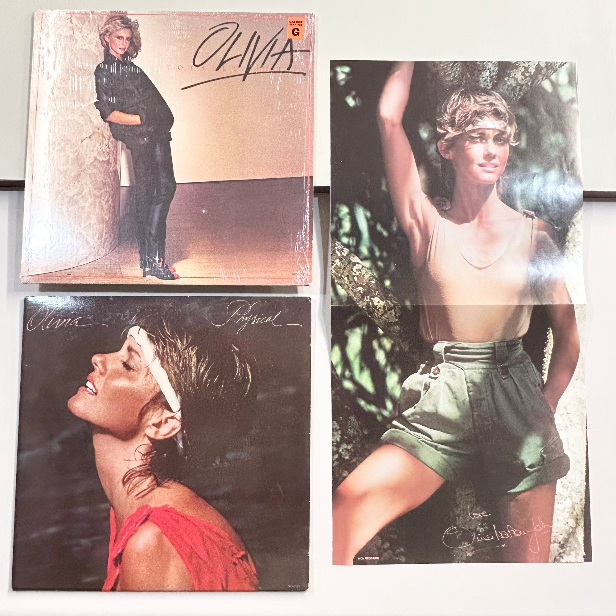 Olivia Newton-John レコード2枚、パンフレット2枚 Lot Of 2 Olivia Newton John Records - Totally Hot & Physical W