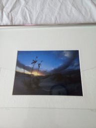 Signed And Numbered Artwork