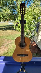 Hohner HD02 Acoustic Guitar