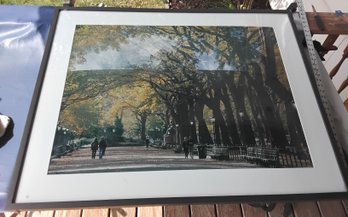 Framed Scene Of The Mall In Central Park New York