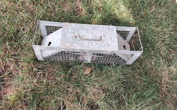 Squirrel Size Havahart Trap  #1