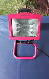 Portable Flood Light