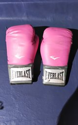 Everlast 12 Once Boxing Gloves