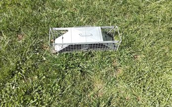 Skunk Size Havahart Trap
