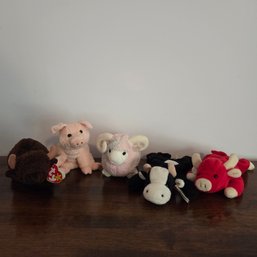 Beanie Babies Including Daisy