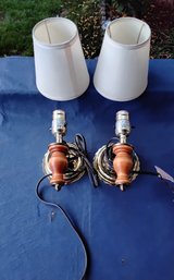 2 Matching Hanging Wall Lamps