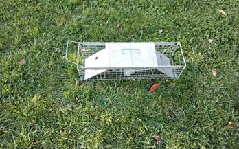 Havahart Trap