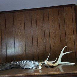 Wild Turkey Feathers & Antlers