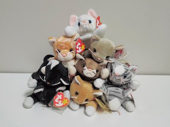 Ty Beanie Babies Cat Collection