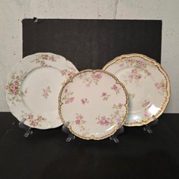 Trio Of Limoges Porcelain Plates
