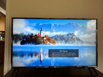 49 Lg Smart Tv.