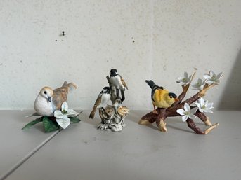 Set Of 3 Bird Collection  Fine Porcelain